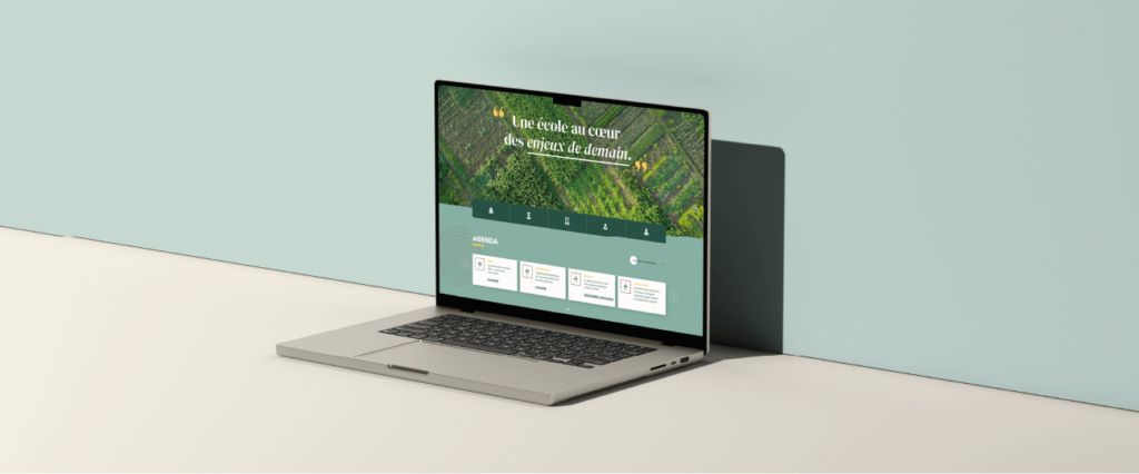 Developpement de site internet