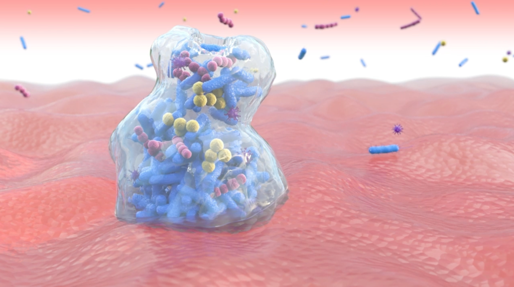 Réalisation de 3D pour le secteur médical