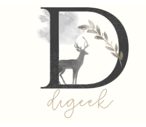 logo Digeek généré par un outil de création en ligne