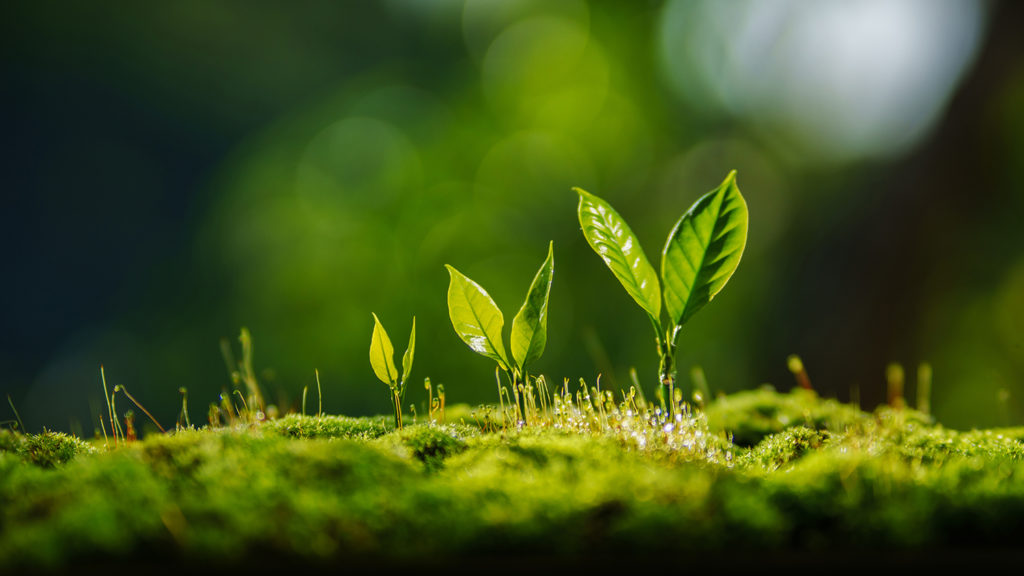 la refonte de votre site internet augmente sa visibilité et ainsi contribue à la croissance de votre entreprise